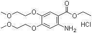 埃羅替尼