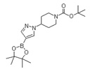 tert-Butyl 4-[4-(4,4,5,5-tetra...